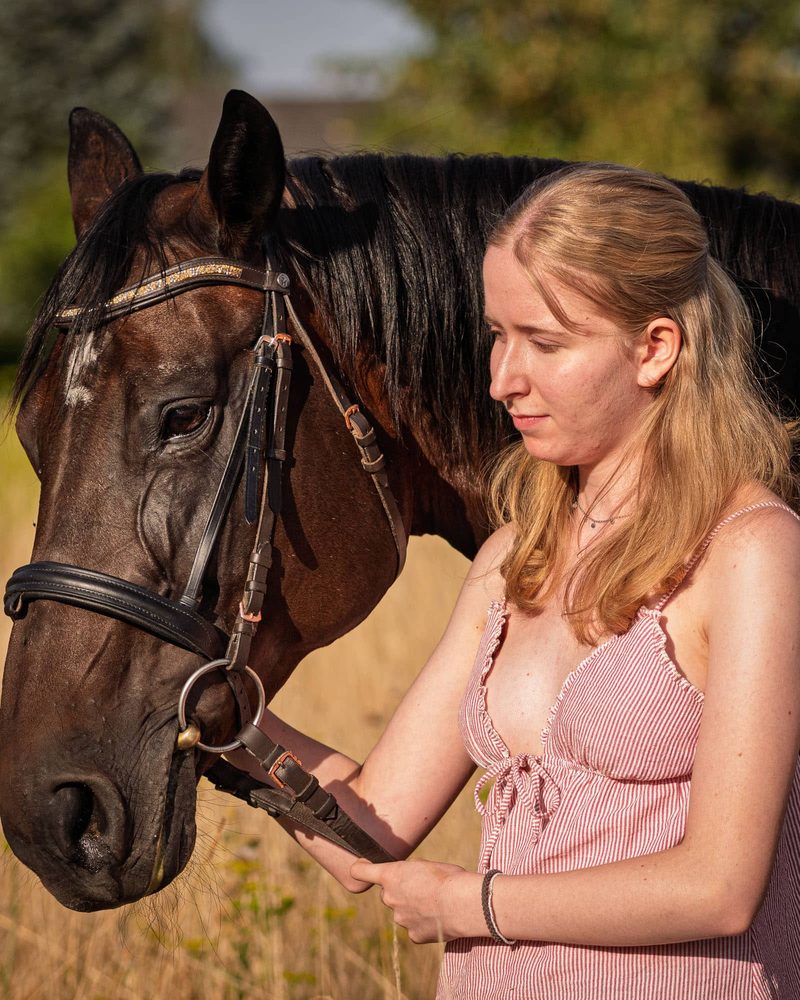Ruhiger Moment mit dem Pferd im Abendlicht