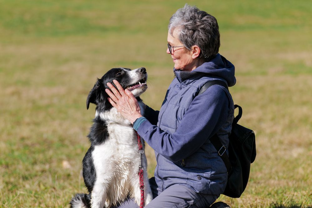 Border Collie und Frauchen auf der Wiese
