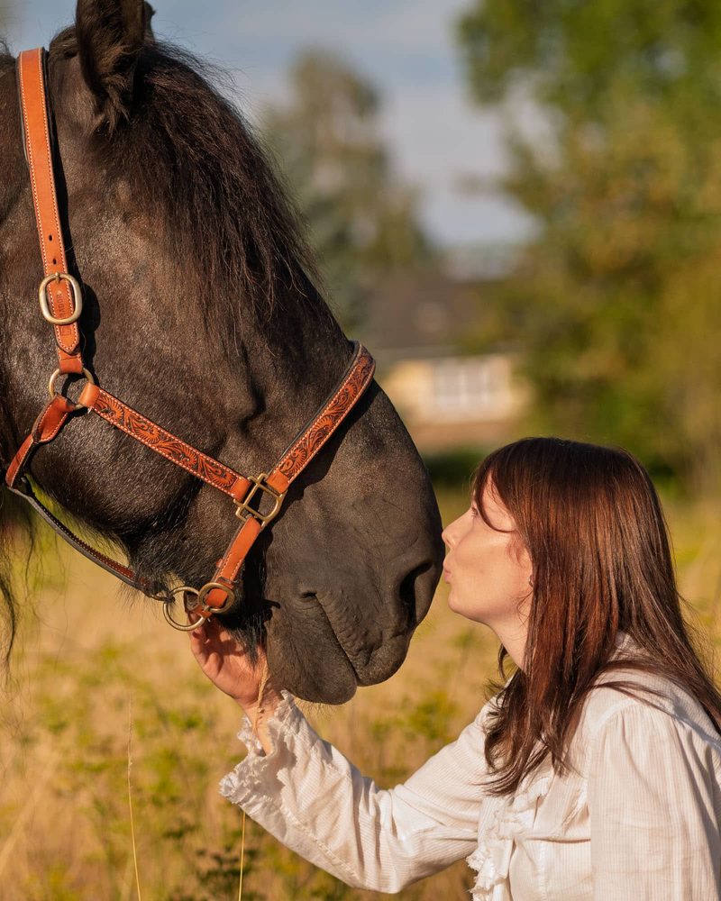 Ein Kuss für das Pferd